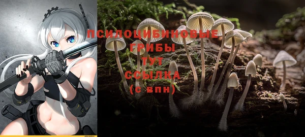 ГАЛЛЮЦИНОГЕННЫЕ ГРИБЫ Алексеевка