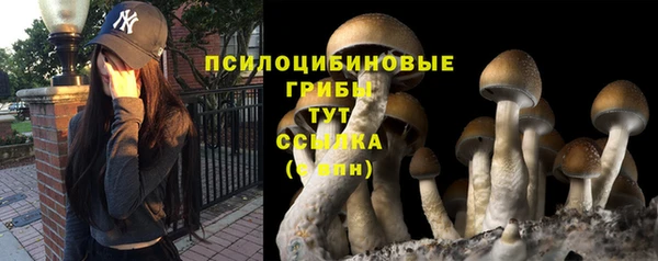 ГАЛЛЮЦИНОГЕННЫЕ ГРИБЫ Алексеевка
