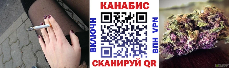 где можно купить наркотик  Вихоревка  Каннабис конопля 